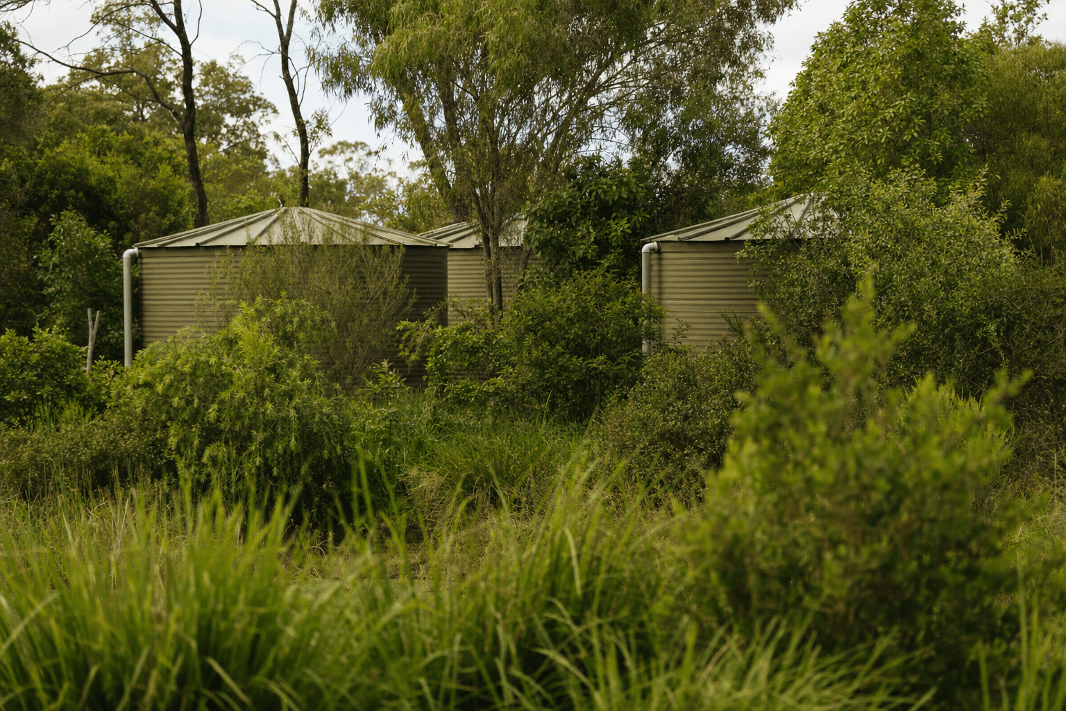 Two HDPE containers hidden among backyard shrubs